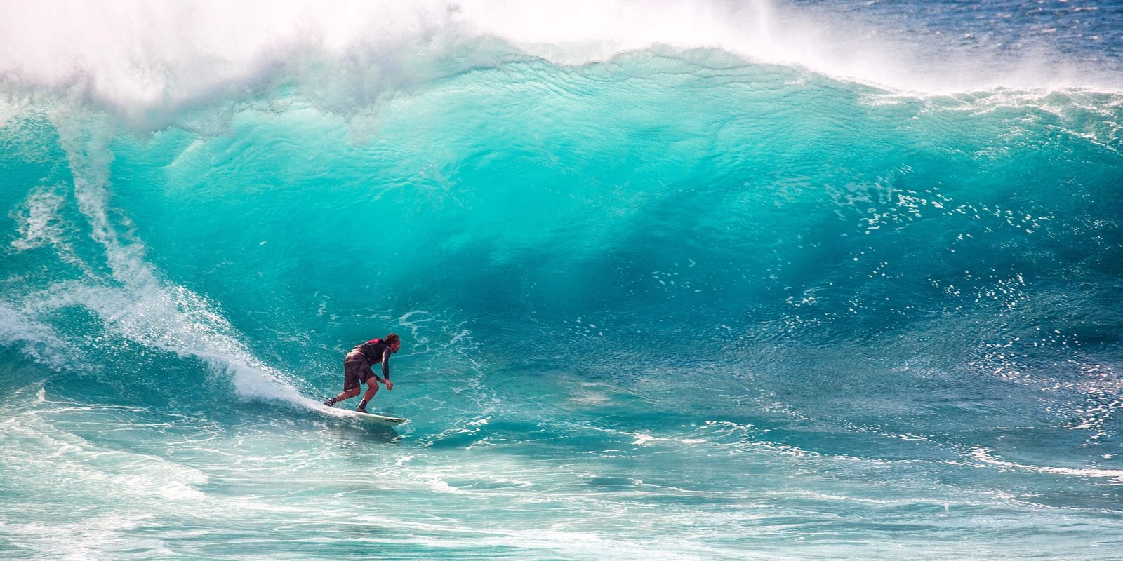 Surf Conheça os Tipos de Pranchas mais Utilizados no Top Mundial